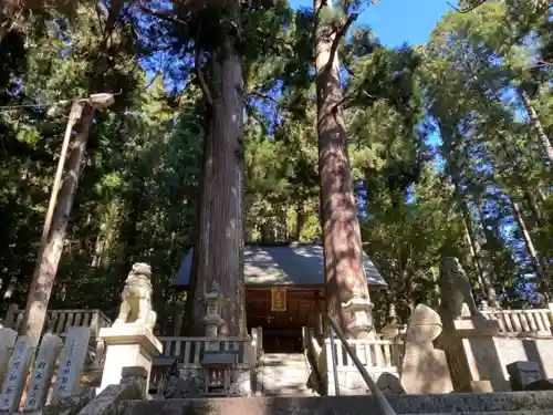 恵那神社の自然