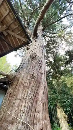 宮田神社(島根県)