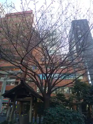 蔵前神社の自然