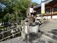 氷室神社の狛犬