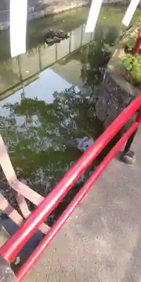 磐井神社(東京都)