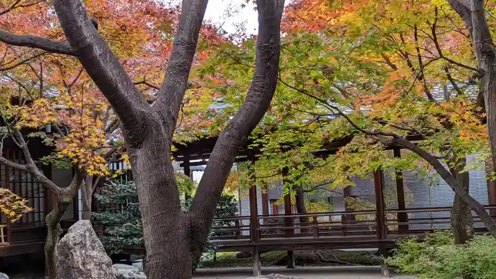 建仁寺(建仁禅寺)(京都府)