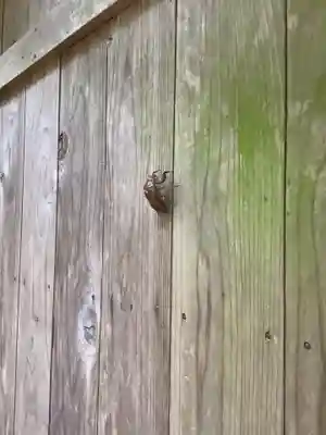 東谷山白龍大明神(愛知県)