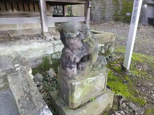 杉山社（帷子町杉山社・久保杉山神社）の狛犬