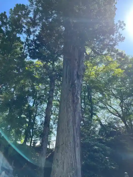 瑞巌寺(宮城県)