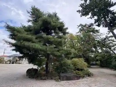 葛飾八幡宮(千葉県)
