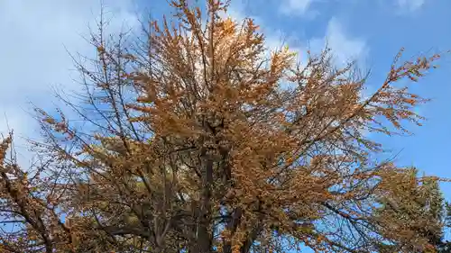 旭川別院(北海道)