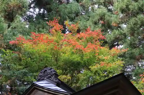 鹿島大神宮の自然