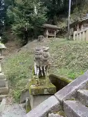 山科神社の狛犬