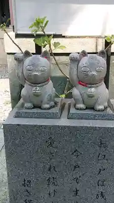 今戸神社の狛犬