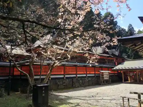 丹生都比売神社の本殿・本堂