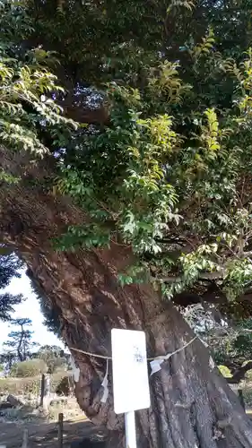 九重神社(埼玉県)