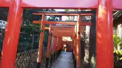 花園稲荷神社の鳥居