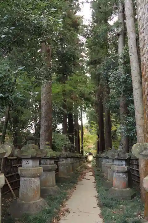 平林寺(埼玉県)