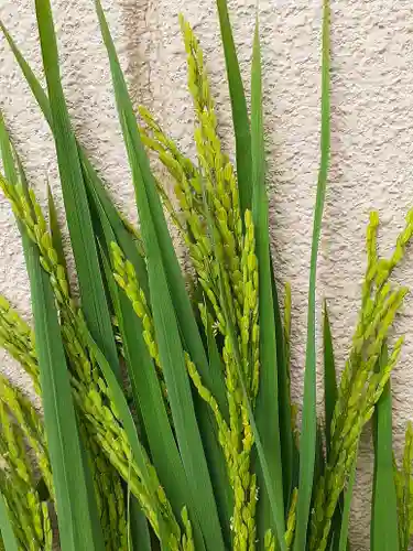伏木香取神社の自然