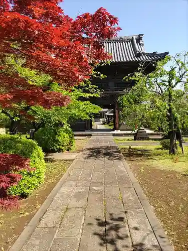 妙顕寺の山門・神門