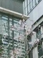 福徳神社(芽吹稲荷)の動物
