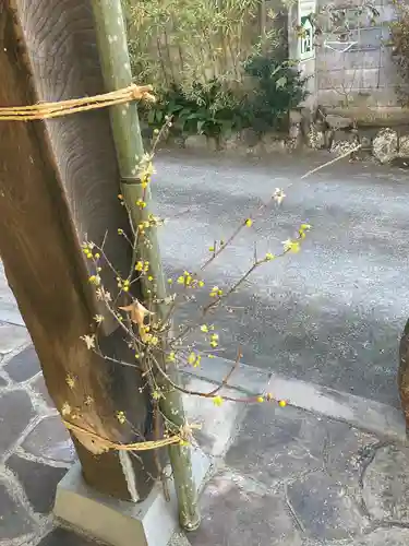 安楽院(神奈川県)