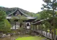 高台寺(高台寿聖禅寺・高臺寺)の庭園