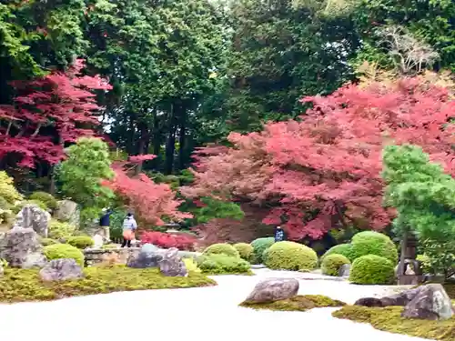 くろ谷 金戒光明寺(京都府)