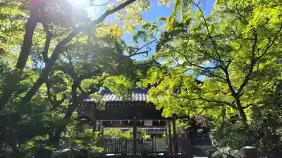 鍬山神社(京都府)
