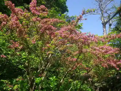 安國論寺（安国論寺）の自然