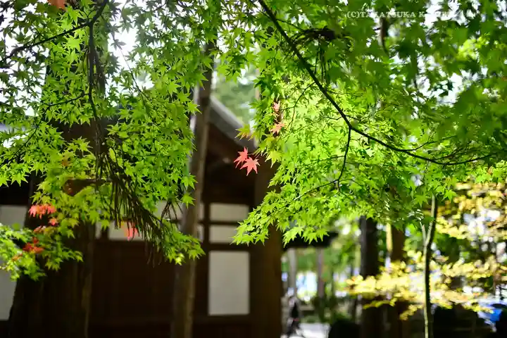 諏訪大社下社秋宮(長野県)