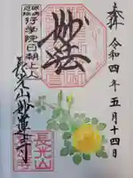 妙蓮寺の御朱印