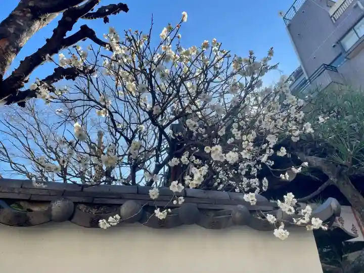 成就院の{uncategorized: "未分類", other: "その他", undefined: "問題あり", building: "その他建物", grave: "お墓", sacred_gate: "鳥居", guardian: "狛犬", statue: "像", buddha: "仏像", history: "歴史", nature: "自然", garden: "庭園", animal: "動物", pagoda: "塔", temizu: "手水舎", mountain_gate: "山門・神門", sanctuary: "本殿・本堂", subordinate: "末社・摂社", art: "芸術", scenery: "景色", jizo: "地蔵", ema: "絵馬", goshuin: "御朱印", omikuji: "おみくじ", items: "授与品その他", amulet: "お守り", goshuincho: "御朱印帳", eats: "食事", festival: "お祭り", votive_dance: "神楽", shichigosan: "七五三参", wedding: "結婚式", experience: "体験その他", initially: "初詣", around: "周辺", anti_infection: "感染症対策"}