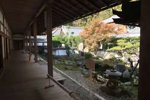 西教寺の庭園