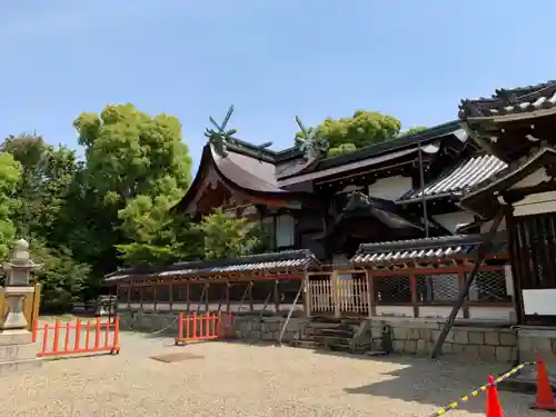 百舌鳥八幡宮の本殿