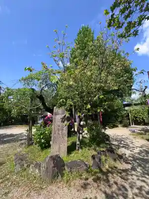 長建寺の{uncategorized: "未分類", other: "その他", undefined: "問題あり", building: "その他建物", grave: "お墓", sacred_gate: "鳥居", guardian: "狛犬", statue: "像", buddha: "仏像", history: "歴史", nature: "自然", garden: "庭園", animal: "動物", pagoda: "塔", temizu: "手水舎", mountain_gate: "山門・神門", sanctuary: "本殿・本堂", subordinate: "末社・摂社", art: "芸術", scenery: "景色", jizo: "地蔵", ema: "絵馬", goshuin: "御朱印", omikuji: "おみくじ", items: "授与品その他", amulet: "お守り", goshuincho: "御朱印帳", eats: "食事", festival: "お祭り", votive_dance: "神楽", shichigosan: "七五三参", wedding: "結婚式", experience: "体験その他", initially: "初詣", around: "周辺", anti_infection: "感染症対策"}