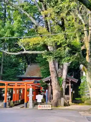 宇都宮二荒山神社(栃木県)