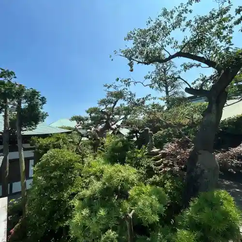 養玉院如来寺(東京都)