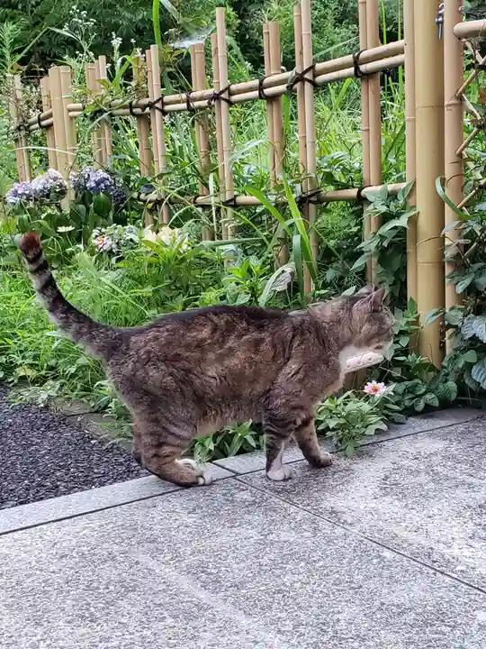 白金氷川神社(東京都)