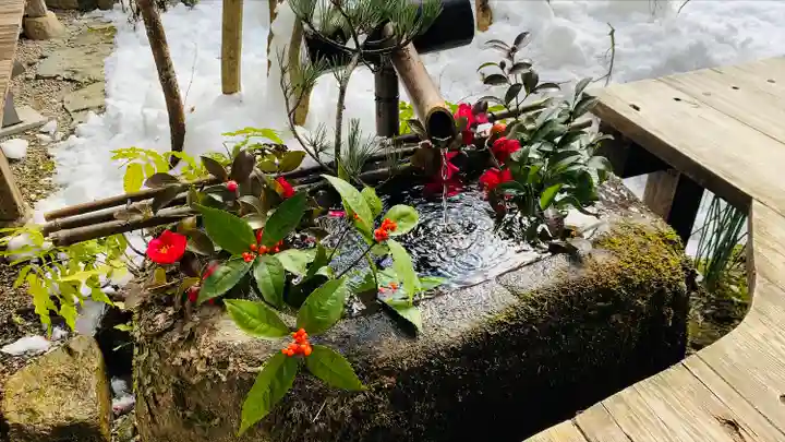 宝泉院(京都府)