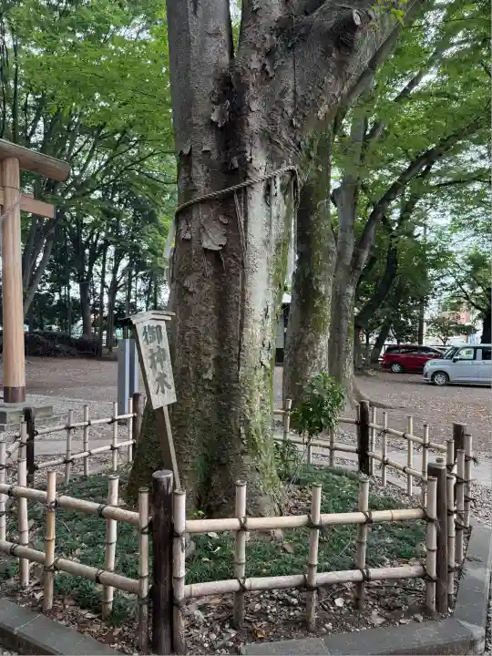 神明大神宮(神奈川県)