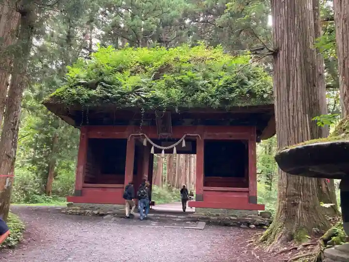 戸隠神社奥社(長野県)