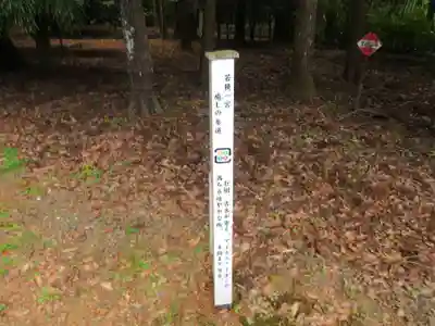 若狭彦神社（上社）(福井県)