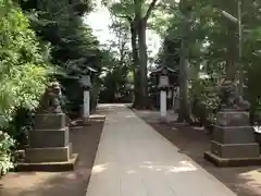 荻窪八幡神社の狛犬