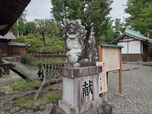 天宮神社(静岡県)