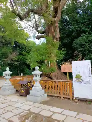 和泉國一之宮　大鳥大社(大阪府)