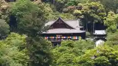 長谷寺の本殿