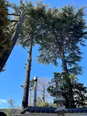 東光寺(東京都)