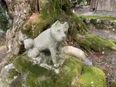 多田寺の狛犬