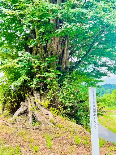 向川寺(山形県)