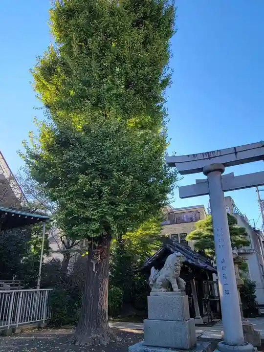 住吉神社の狛犬