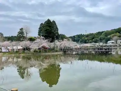 厳島神社　谷弁財天の{uncategorized: "未分類", other: "その他", undefined: "問題あり", building: "その他建物", grave: "お墓", sacred_gate: "鳥居", guardian: "狛犬", statue: "像", buddha: "仏像", history: "歴史", nature: "自然", garden: "庭園", animal: "動物", pagoda: "塔", temizu: "手水舎", mountain_gate: "山門・神門", sanctuary: "本殿・本堂", subordinate: "末社・摂社", art: "芸術", scenery: "景色", jizo: "地蔵", ema: "絵馬", goshuin: "御朱印", omikuji: "おみくじ", items: "授与品その他", amulet: "お守り", goshuincho: "御朱印帳", eats: "食事", festival: "お祭り", votive_dance: "神楽", shichigosan: "七五三参", wedding: "結婚式", experience: "体験その他", initially: "初詣", around: "周辺", anti_infection: "感染症対策"}