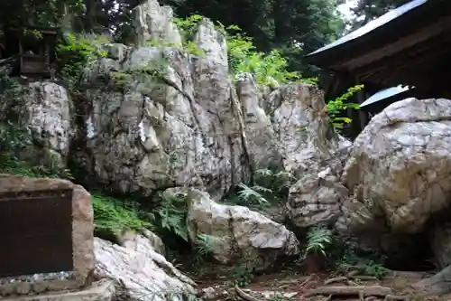 鹿島大神宮の自然