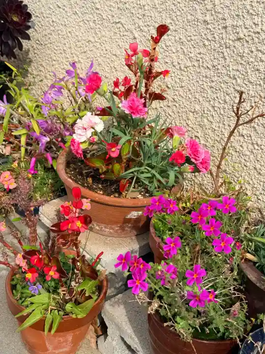 船寺神社の{uncategorized: "未分類", other: "その他", undefined: "問題あり", building: "その他建物", grave: "お墓", sacred_gate: "鳥居", guardian: "狛犬", statue: "像", buddha: "仏像", history: "歴史", nature: "自然", garden: "庭園", animal: "動物", pagoda: "塔", temizu: "手水舎", mountain_gate: "山門・神門", sanctuary: "本殿・本堂", subordinate: "末社・摂社", art: "芸術", scenery: "景色", jizo: "地蔵", ema: "絵馬", goshuin: "御朱印", omikuji: "おみくじ", items: "授与品その他", amulet: "お守り", goshuincho: "御朱印帳", eats: "食事", festival: "お祭り", votive_dance: "神楽", shichigosan: "七五三参", wedding: "結婚式", experience: "体験その他", initially: "初詣", around: "周辺", anti_infection: "感染症対策"}